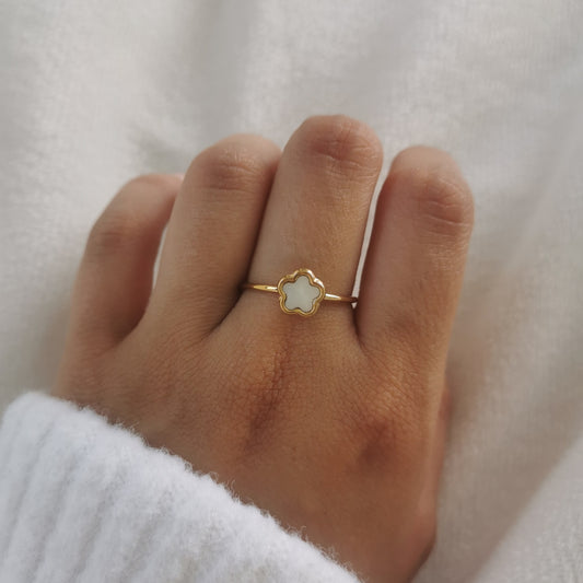 BAGUE PAULA