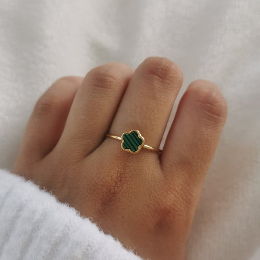 BAGUE PAULA