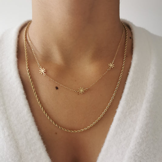 COLLIER DENVER
