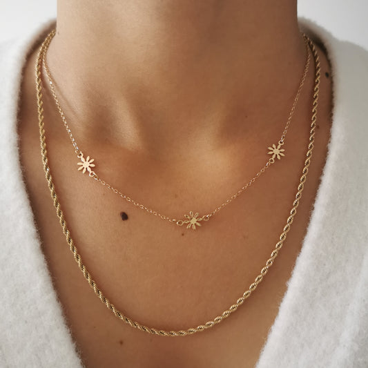 COLLIER DENVER