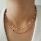 COLLIER PORTLAND